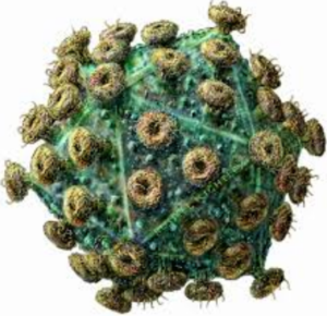 Fakta Unik dan Menarik Seputar 5 Virus Paling Mematikan di Dunia