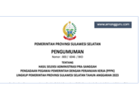 Pengumuman Hasil Seleksi Administrasi PPPK Provinsi Sulawesi Selatan 2023