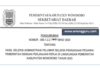 Pengumuman Hasil Seleksi Administrasi PPPK Kabupaten Wonosobo 2023